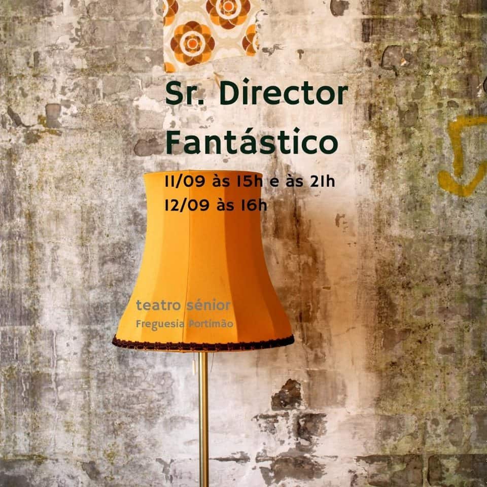 Sr. Director Fantástico